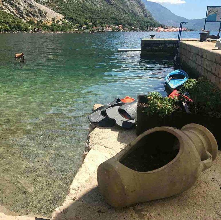 Apartment Lukiduki At The Beach - Kotor Exterior photo